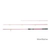 Delphin Queen Feeder rod + 3pcs tip / 360cm/100gr/3 part
