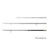 Delphin RIVER Trophy NXT + 4 tips 400cm/200g/3 part Feeder rod