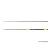 Delphin HAZARD BxG 2-częściowa Wędka Sumowa 310cm, 505g