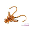 Delphin B! Stinx Nympha Fruity 2,5cm Sztuczna Przynęta 20szt
