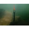 Delphin Help Rig Kotwica do uwalniania zestawów