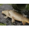 Delphin CarpMat Banx Camo Mata karpiowa 110x60cm