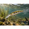 Delphin Wobby Jerk-DP Spring 9cm 12,5gr Wobbler