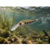 Delphin Wobby Crank-DP Redface 7cm 12gr Wobbler