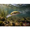 Delphin Wobby Trout-SH Sunset 4cm 4gr Wobbler