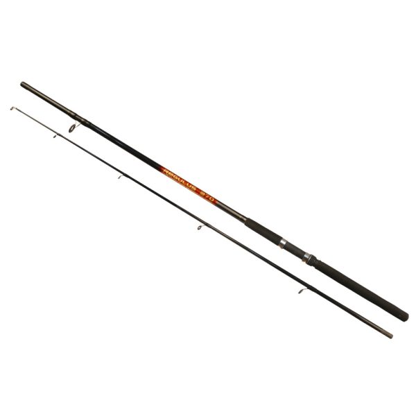 Arno Regulus Rod 2,70m 40-80gr 2-częściowy Wędka spinningowa