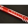 Carp Expert Scobar Pole 4m Bat