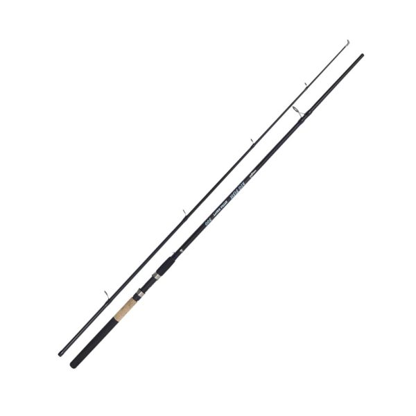 Kamasaki Big Fish 3,00m 40-80gr 2-częściowa Wędka sumowa