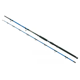   Wizard Cat Pro Power 2 részes 600-800gr 3,00m Harcsázó Bot