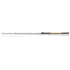 NEVIS Vanity Carp Picker 300 20-50gr Wędka Feeder
