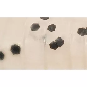  Rapture ULC Vízi Garnéla 6,2cm 1gr Gyöngykék Puha gumi csali 8db