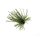Rapture TG Finesse Rub Jig 2,3gr #01 Watermelon Szoknyás Jig