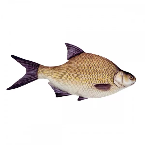 Poduszka Rybna Leszcz 70Cm