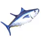 EnergoTeam The Monster Tuna 160cm Poduszka na ryby