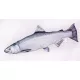EnergoTeam The Chinook Salmon 90cm Poduszka wędkarska