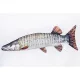 EnergoTeam The Muskellunge 80cm Halas Párna