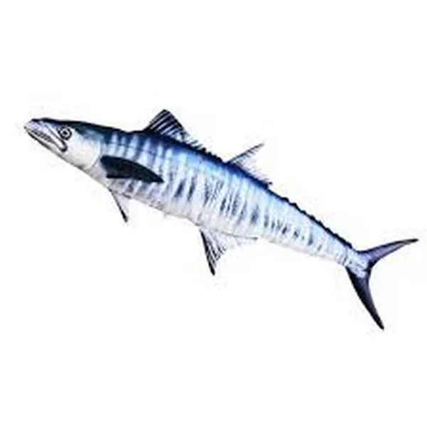 EnergoTeam The Mackerel Spanish 102cm Poduszka w kształcie ryby