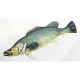 EnergoTeam The Murray Cod 100cm Poduszka Rybna