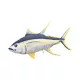 EnergoTeam The Monster Yellowfin Tuna 160cm Poduszka Rybna