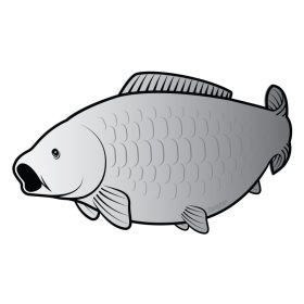 Delphin Naklejka samoprzylepna karp SILVER