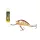 Salmo Hornet H5F PRD 5cm 7gr Wobler