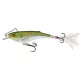 Wobler Salmo Rail Shad Shad RBHNS 60mm - 14gr