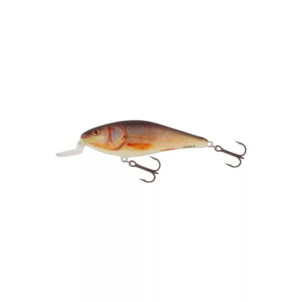 Salmo Wobler Executor Wobler RR 50mm - 5gr