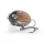 Salmo Wobbler Lil Bug Wobbler MBG 30mm - 4,3gr