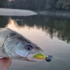 Reiva 0,30mm 40cm Przypon Fluorocarbonowy 2 szt.