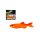 Wizard Roach Orange 7cm Gumowa Rybka 3db