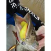 Nevis Twister Shad Vantage Perch 9cm 6,56gr Zielono-biała Plastikowa przynęta 3 szt.