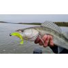Nevis Impulse Shad 6,3cm 1,77gr 6szt/opak Fluo Zielony Brokat X2 Przynęta Plastikowa