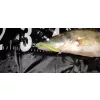Reiva Zander Power Shad 8cm 3,18gr 5szt/opak. (Fluo Zielony) Przynęta plastikowa
