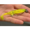 Reiva Offset Worm Czarny 4/0 3szt/opakowanie Haczyk na ryby drapieżne z oczkiem i zadziorem