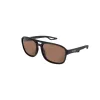 Avid SeeThru AV Classic Polarised Sunglasses Brown Lens Okulary Przeciwsłoneczne