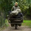 Avid Arctic-Series Sherpa Fleece Kurtka S