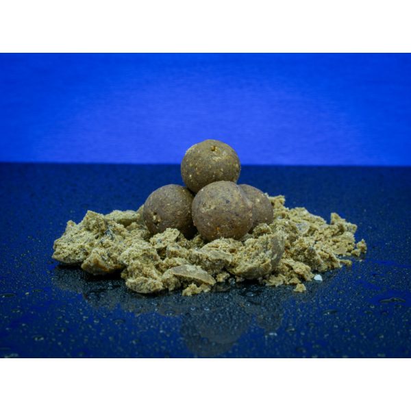 BaitBait Mentor 24mm Konserwowane Kulki Proteinowe 1kg