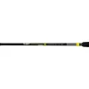Black Cat Perfect Passion X Casting 2,20m 30-150gr 2-częściowa Wędka Spinningowa