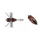 Duo Realis Shinmushi 4,0cm 5,7gr CCC3219 Beetle Imitacja Owada