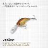 Evergreen Wildhunch 5,2cm 9,6gr #289 Queen Shad Wobler