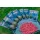 Guru Maggot Feeder S koszyk na robaki 30gr
