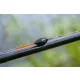 Guru Skimmer Wire 0,75gr Spławik Zawodniczy