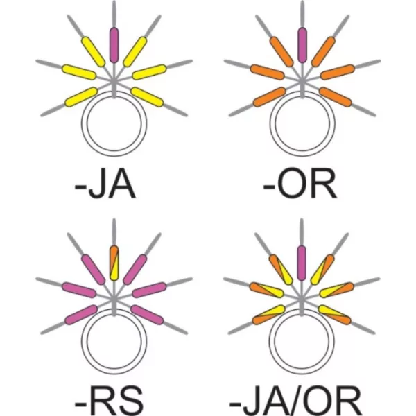 Garbolino - STREAMLINE STIX LINE VISUALIZER - Small items - Stopper - Trout rubber stopper