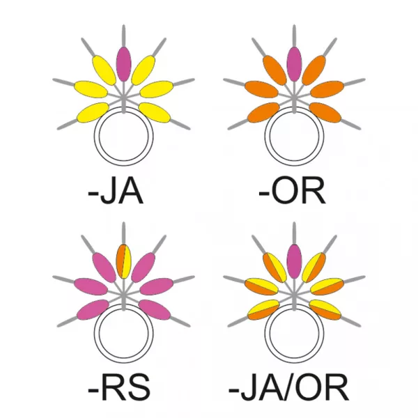 Garbolino - STREAMLINE DROP LINE VISUALIZER - Small items - Stopper - Trout rubber stopper