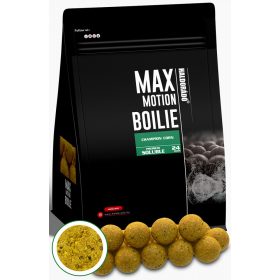   Haldorádó Max Motion Boilie Premium Rozpuszczalna Champion Corn 800gr 24mm kulka proteinowa