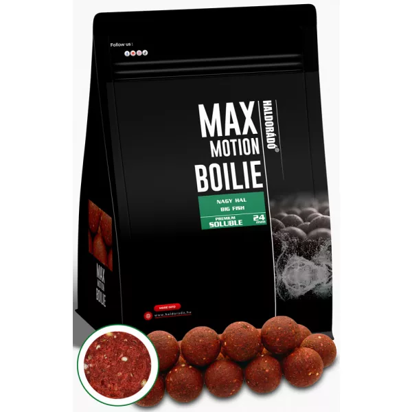 Haldorádó Max Motion Boilie Premium Rozpuszczalna Duża Ryba 800gr 24mm kulka proteinowa