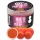 Haldorádó Max Motion Boilie Pop Up Orzech Hiszpański 50gr 16-20mm Kulki proteinowe