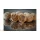 HNV Baits GLM Liver Soluble Rozpuszczalne Kulki proteinowe 24mm 1kg