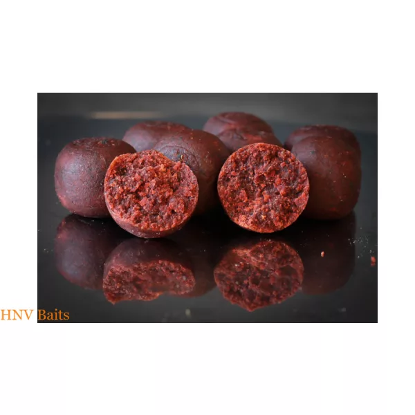 HNV Baits Czerwona Pikantna Kałamarnica 20mm Kulki proteinowe 1kg