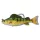 Livetarget Yellow Perch Swimbait Yellow-Green 11,3cm 21gr Plastikowa Przynęta